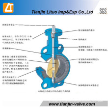 Multi Standard Cast or Ductile Iron Butterfly Valve